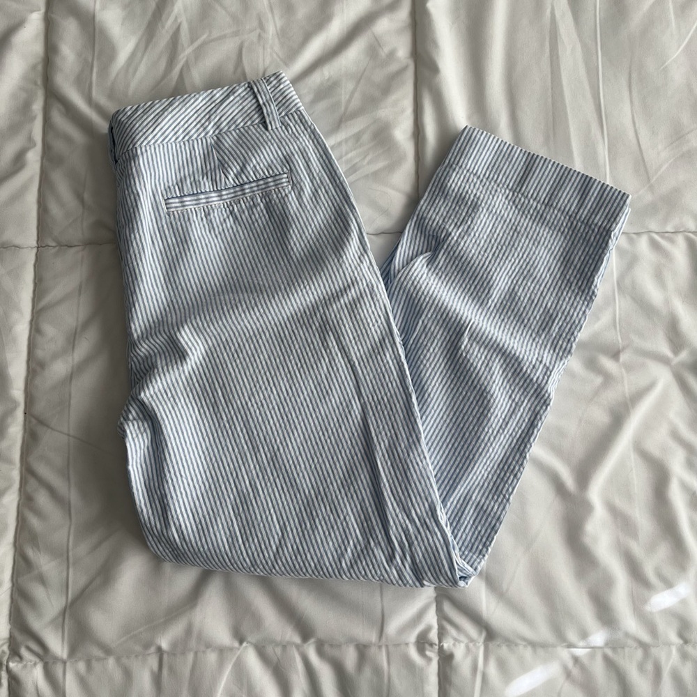 Land’s End Blue Striped Pants
